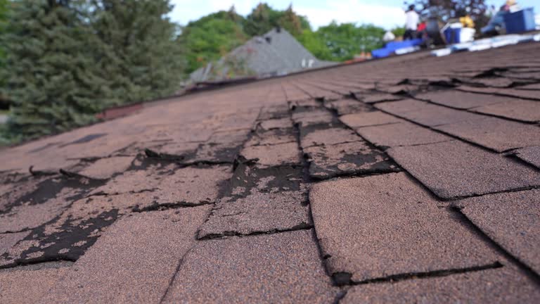 Best Chimney Flashing Repair  in Edwardsville, PA